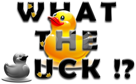 Nadruk What the duck ? (full) - Przód