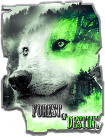 Nadruk Forest of destiny (green) - Przód