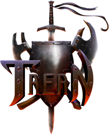 Nadruk męska czarna z logo Taern - Przód