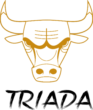 Nadruk Gold Chicago Bulls NBA - Przód